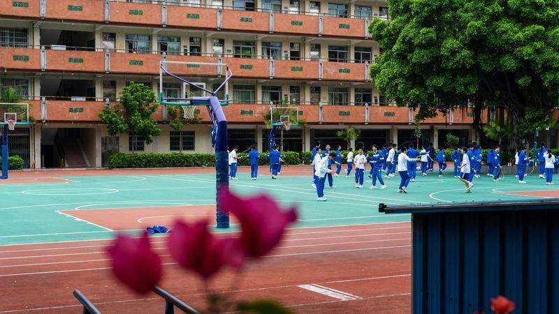 さくら学習アカデミー株式会社 5